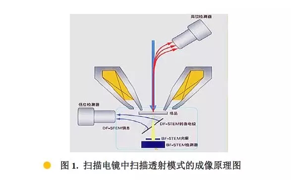 南岸扫描电镜