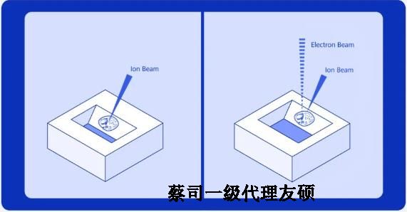 南岸扫描电子显微镜